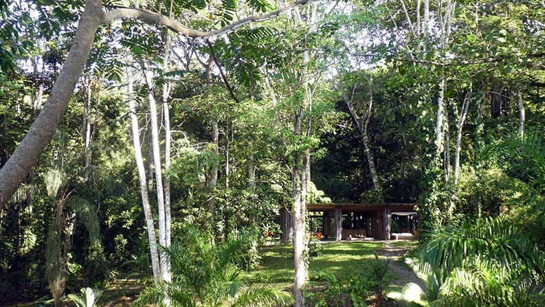 Casa Abierta en la Jungla, Ksymena Borczynska, Costa Rica