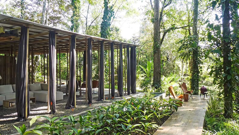 Casa Abierta en la Jungla, Ksymena Borczynska, Costa Rica