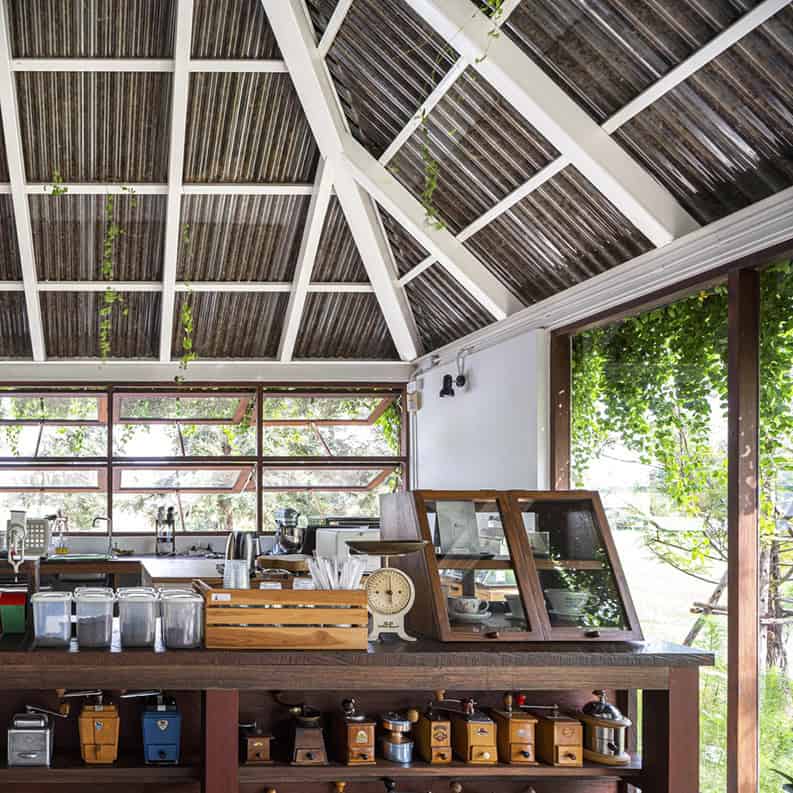 Casa Bonsai. Un espacio de encuentro y aprendizaje