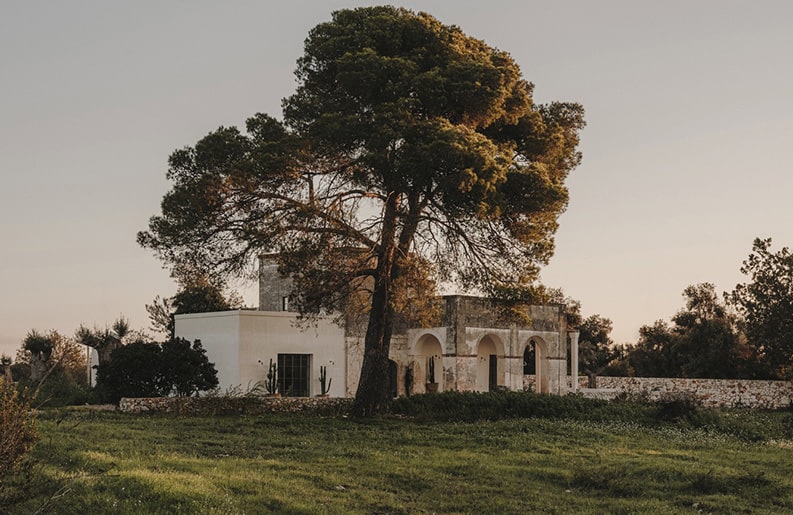 Casa Casolare Scarani, Studio Andrew Trotter, Salva López