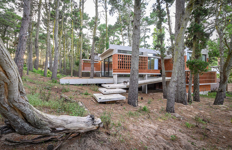 Casa Fruto del bosque by Barrionuevo Villanueva Arquitectos