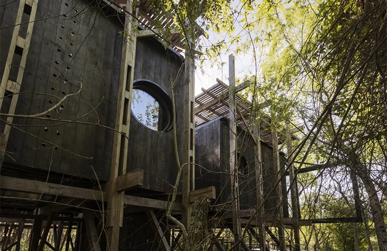 Casa Libélula. Una vivienda que se encuentra a la altura de un hermoso río