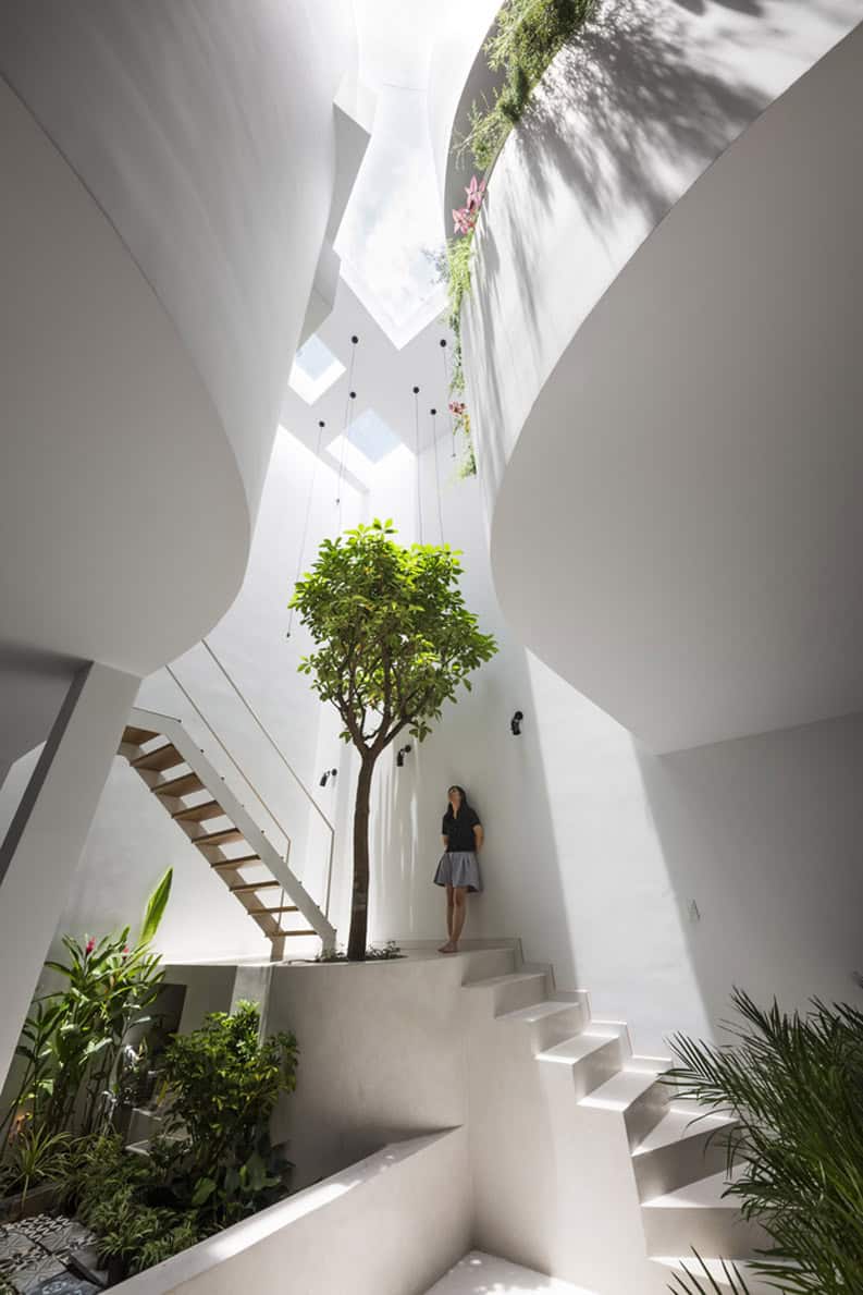 Diseño biofílico. Cinco casas modernas con árboles en su interior