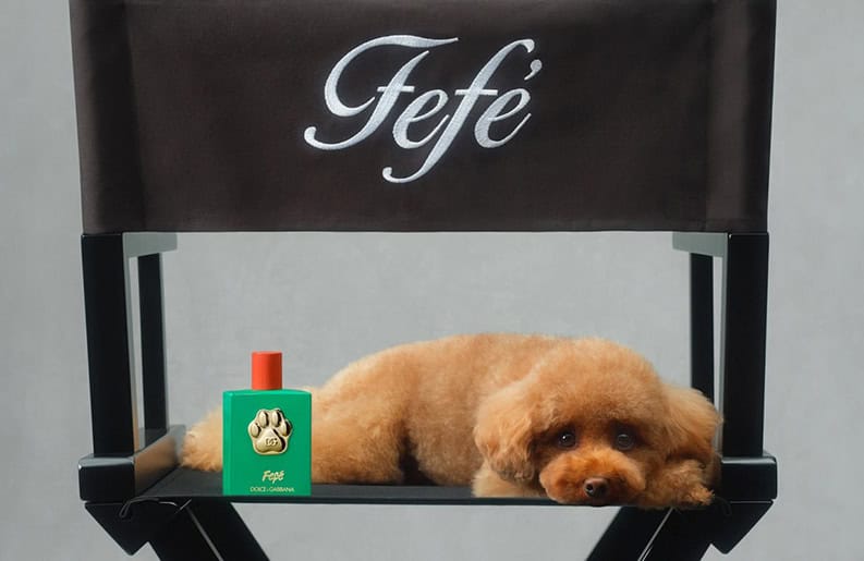 Fefé. El nuevo perfume exclusivo para perros de Dolce & Gabbana