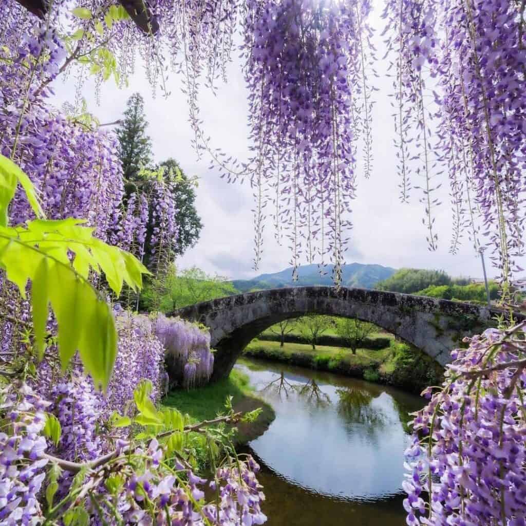 Al natural. Japón al aire libre.