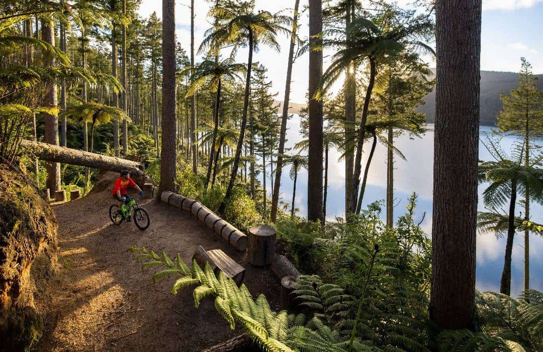 Rototua. Los bosques del ciclismo en Nueva Zelanda.
